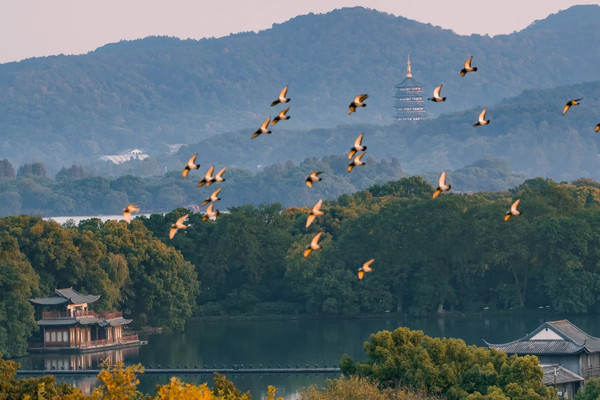 秋天的杭州，國內旅行天花板！｜Trip.com 杭州