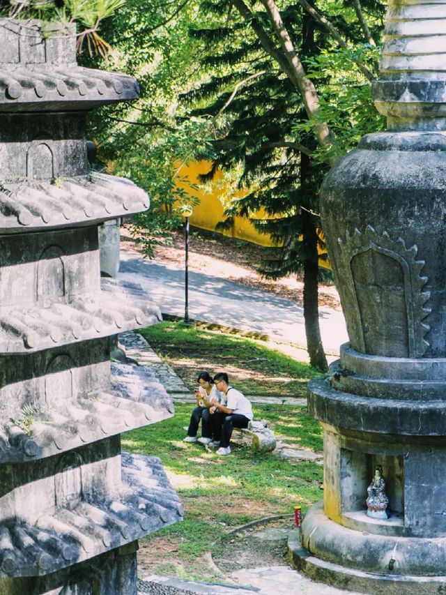 深圳小眾徒步森林，真的太美了～