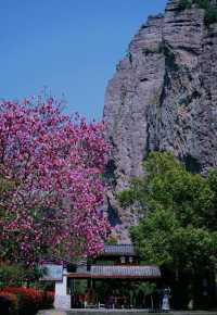 雁蕩山靈峰，是「雁蕩三絕」之中的「靈魂」