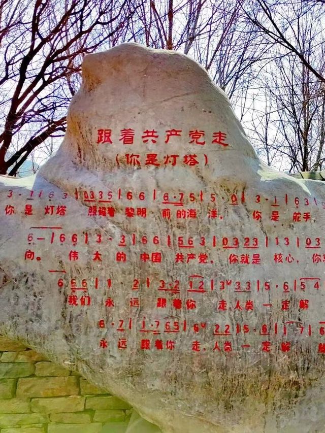 周末自駕遊，3小時車程親子遛娃好地方！
