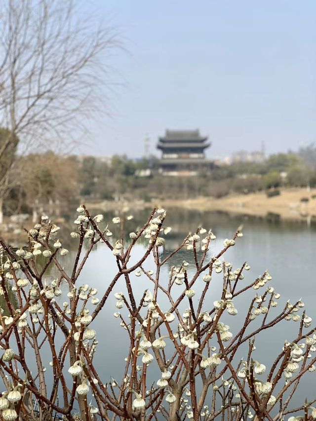 好景長往--鎮江南山風景區