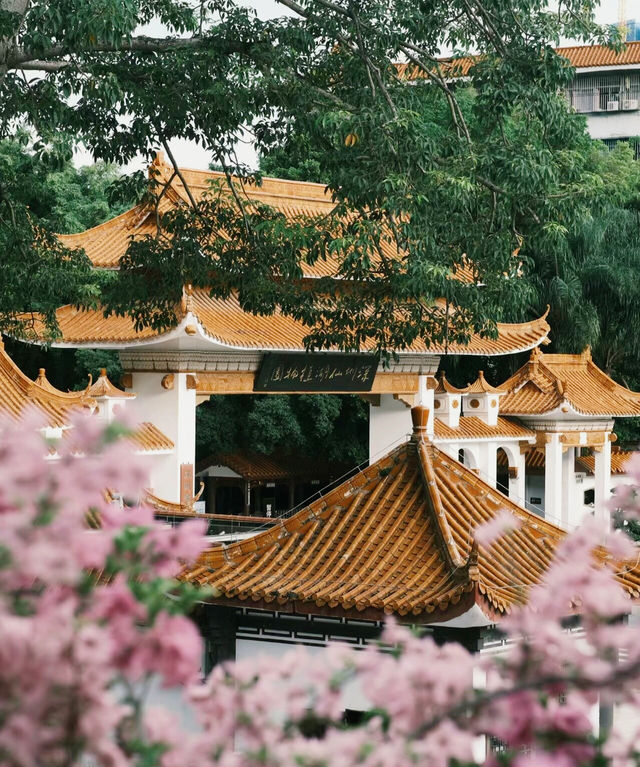 深圳「小花園」可以讓你出大片哦