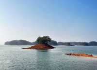 浙江杭州·千岛湖|一鲸落 萬物生