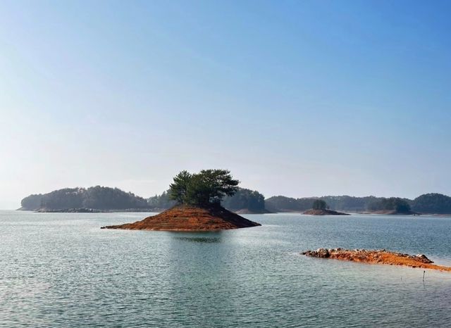 浙江杭州·千岛湖|一鲸落 萬物生