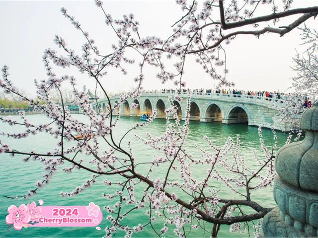 Spring Serenity at the Summer Palace 🌸🏞️