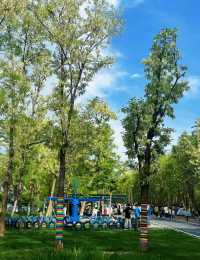北辰噴獸森林公園 野餐露營 充實的一天