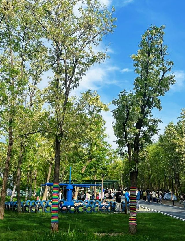 北辰噴獸森林公園 野餐露營 充實的一天 北辰噴獸森林公園 野餐露營 充實的一天