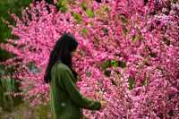 北京週末遊野生動物園：春天親近動物好去處