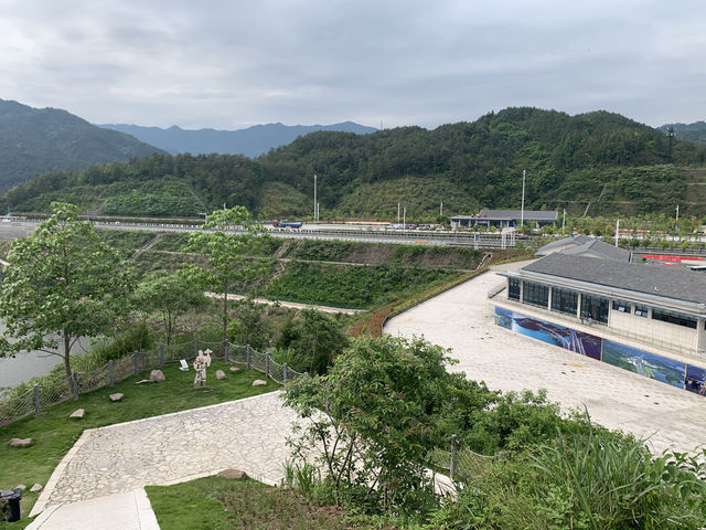 溧寧高速千島湖服務區——星空露營特色