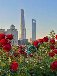 上海已經next level，薔薇花海美到不真實！