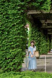 發現廣州新的拍照地長滿藤蔓的漫畫小屋~