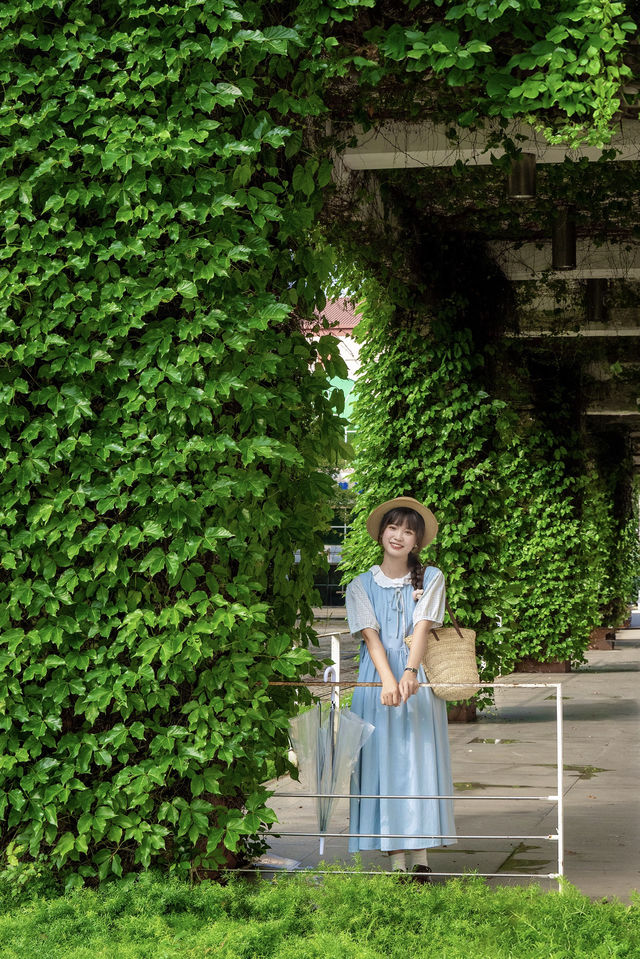 發現廣州新的拍照地長滿藤蔓的漫畫小屋~