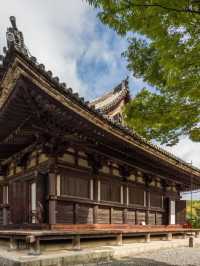 🌸 Kyoto's Cultural Haven: Matsui Honkan 🏯✨