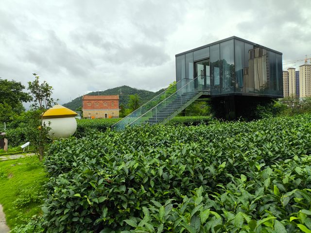 打卡安溪溪禾山