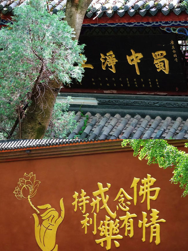 樂至報國寺一-佛在石中