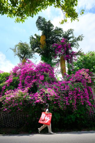 Chengdu is just 37 minutes away! Stroll through the old streets, observe the wine cellars, and pick peaches for an easy day trip