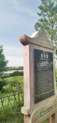張掖國家濕地公園
