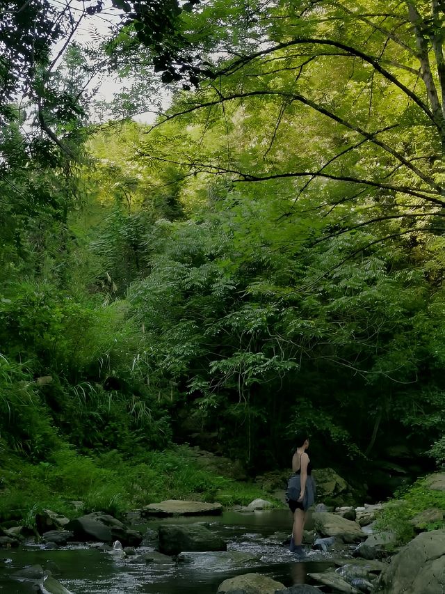 長沙1h直達藏在4A景區的避暑勝地~