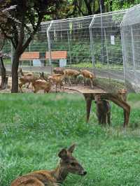 上海的公園已然進階到新高度