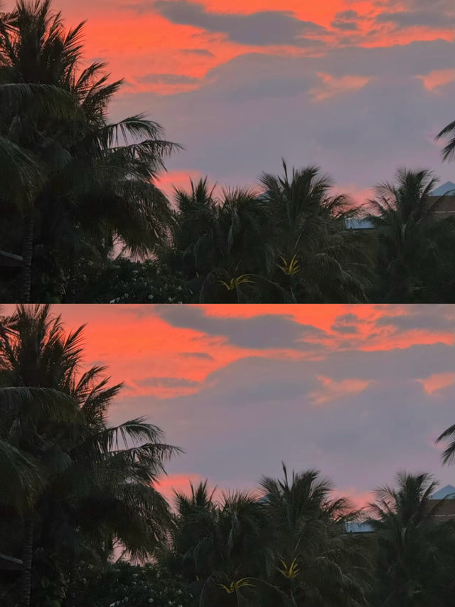 海島的夏天
