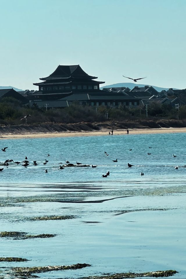 探秘蓬萊仙島 | 人間仙境之旅