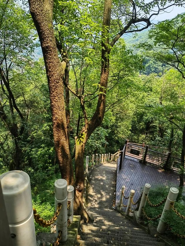 探索重慶道教老君洞千年道觀，登頂絕美風光盡收眼底！