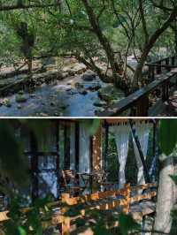 廣東避暑玩水來這！隱於山谷的森系木屋