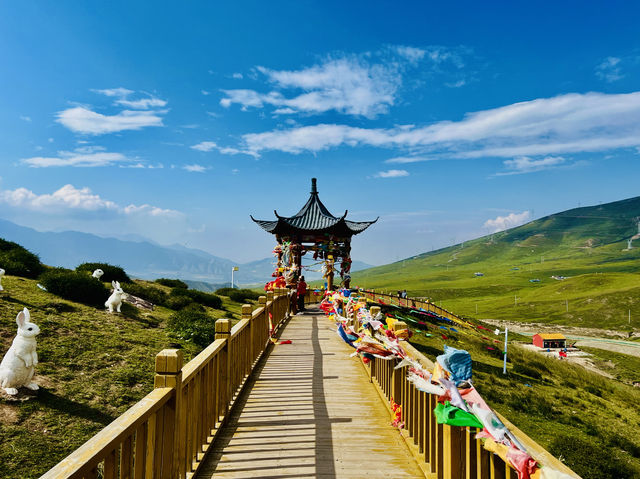 登上烏鞘嶺，站在三大高原交匯點，值得打卡