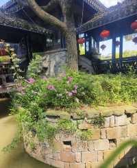 快來韓湘水博園感受這份獨特的古典美吧。