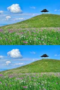 秋天的阿西里西韭菜坪,風景美得令人難以置信。