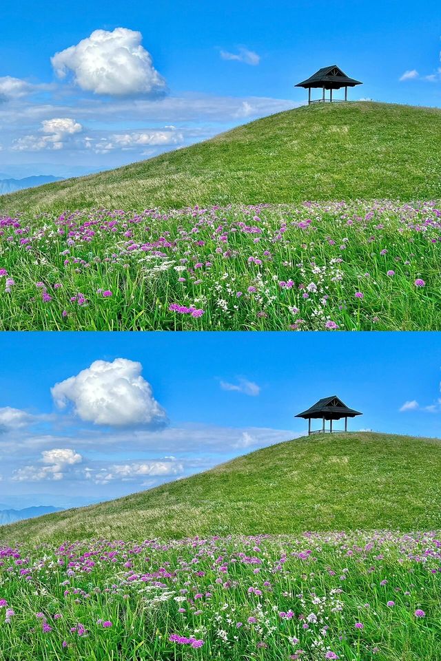 秋天的阿西里西韭菜坪,風景美得令人難以置信。