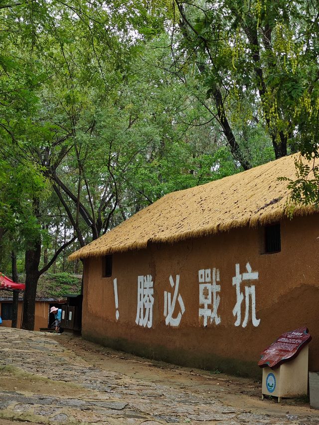 微山湖紅荷濕地，絕美拍照聖地。