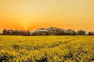 Anren Rice Field Park Travel Guide.