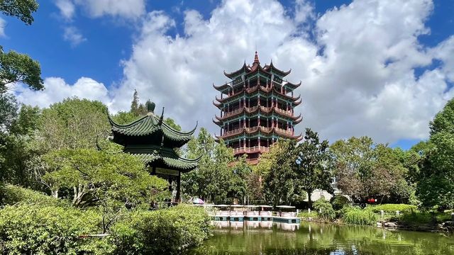 台風「貝碧嘉」過後遊覽川沙公園。 台風「貝碧嘉」過後遊覽川沙公園。