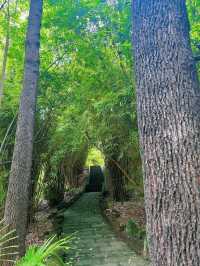 凤凰山公園——被譽為川北第一樓的凤凰樓。