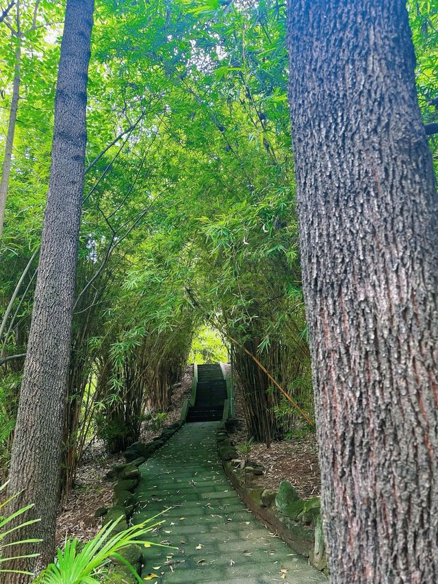 凤凰山公園——被譽為川北第一樓的凤凰樓。
