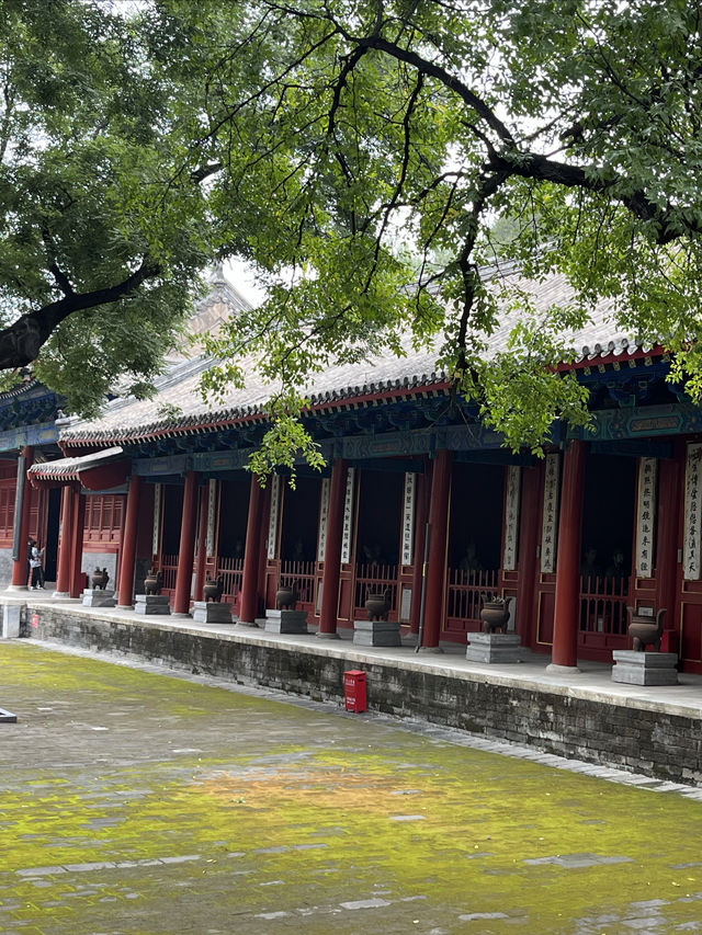 國保打卡:北京東嶽廟(國四)。 國保打卡:北京東嶽廟(國四)。