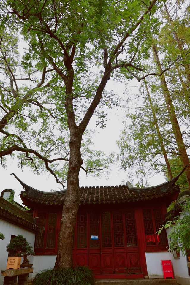 又到了醉白池最美的季節。 又到了醉白池最美的季節。