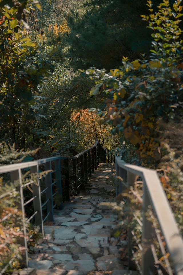 陝西漢中｜不敢想像留壩的秋天如此驚艷。