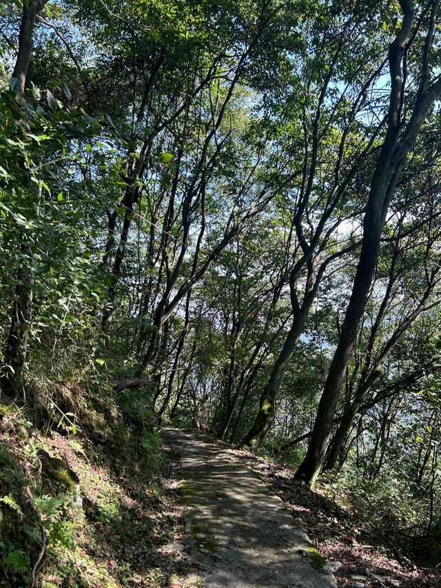 綿陽九皇山美景。