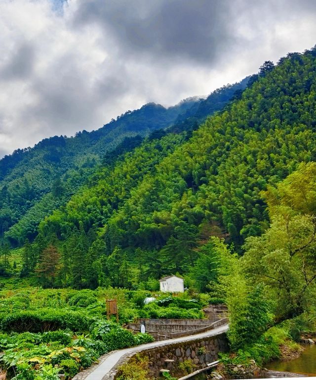 婺源鄣山村之旅：探索古韻與自然之美。