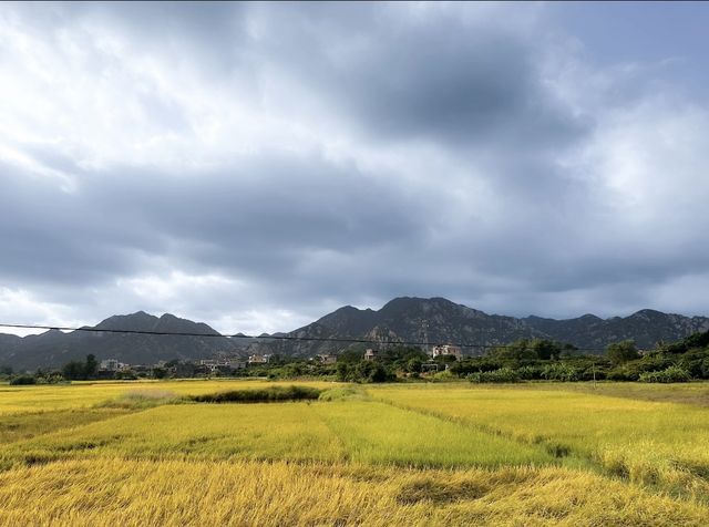 那麼,我們到底被什麼困住了呢。 那麼,我們到底被什麼困住了呢。