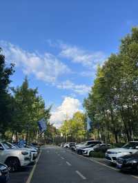 偶遇一片世外桃源|散步治愈 找到自己。