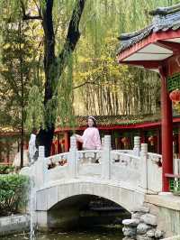 川味來襲，香滿京城。