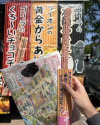Nagoya Travel Guide: Higashiyama Zoo and Botanical Gardens