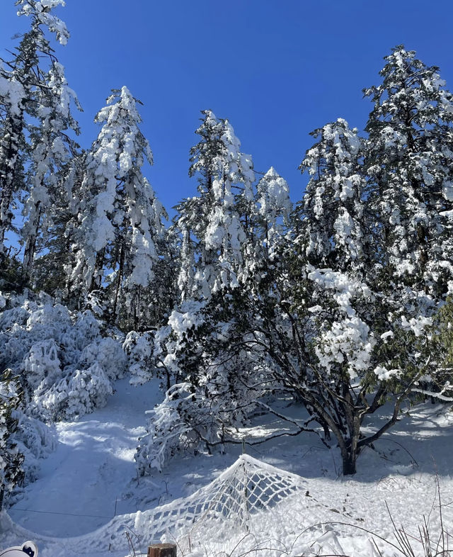 瓦屋山Live，真的不是禾木！。