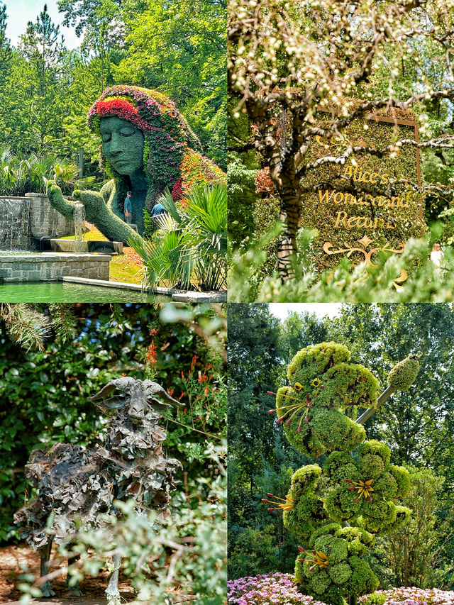 漫步愛麗絲仙境🫧亞特蘭大植物園。