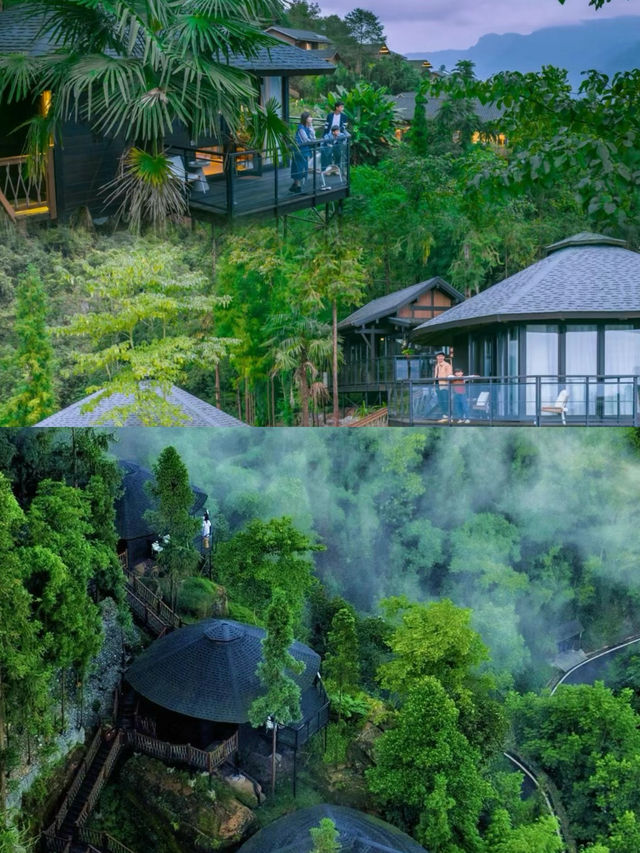 幽靜深山住宿，避世好去處，卡莎莎樹屋民宿～。