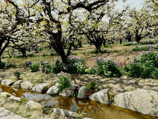 Not only is there beautiful natural scenery here, but also a rich historical and cultural heritage. 