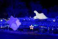 Japan's Largest Light Show in Kanto: 6 Million Lights!